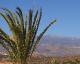 Chayofita One Bedroom Apartment Unit A, Costa del Silencio